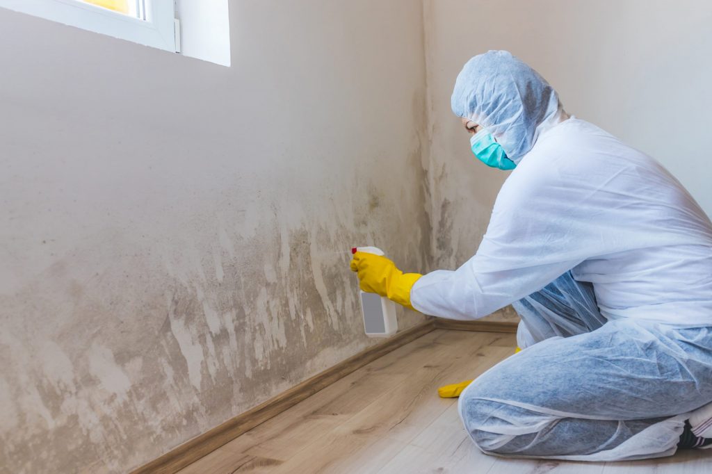 Mould Remediation Removal Restoration Services UK