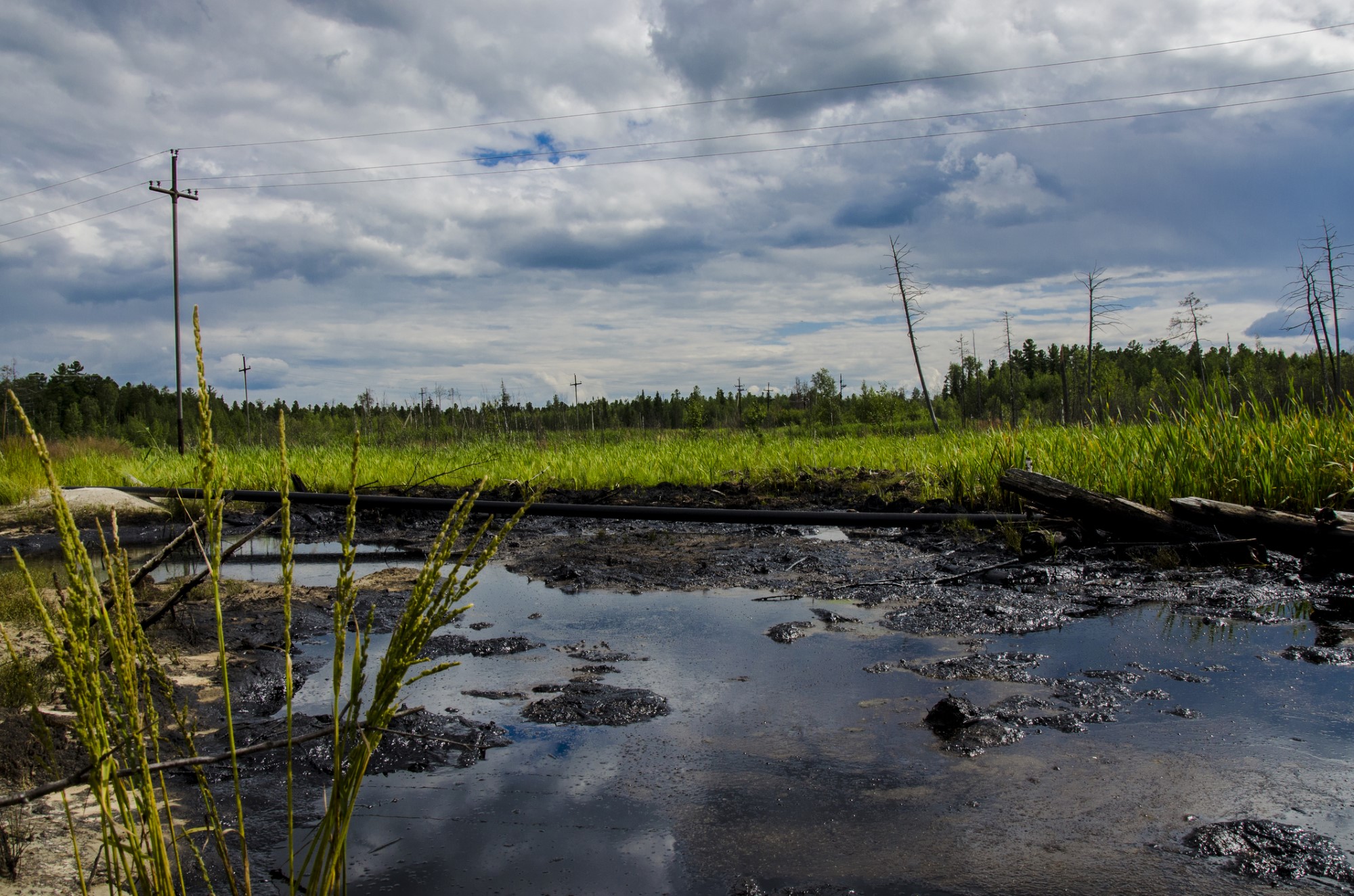 oil spill at a roadside